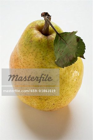 Williams pear with leaf