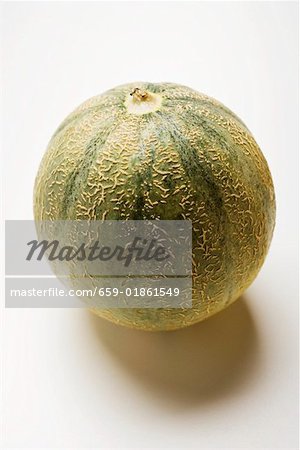 Galia melon