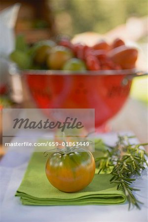 Various types of tomatoes on table out of doors