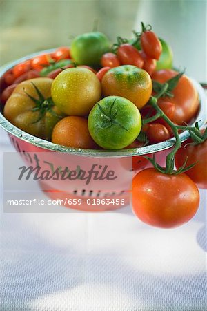 Various types of tomatoes in colander