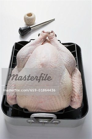 Whole raw turkey in roasting tin, baster, kitchen string