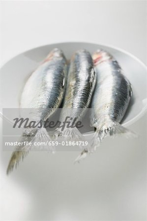 Anchovies in white dish