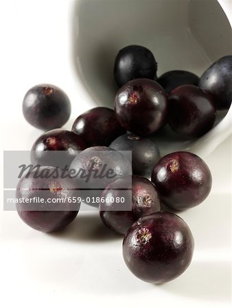 Acai berries (fruit of the acai palm)