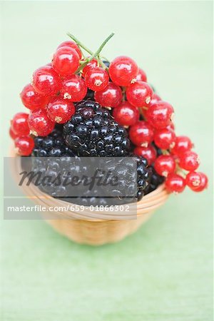 Blackberries and redcurrants in basket