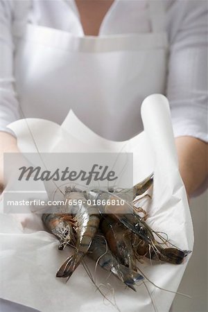 Woman holding fresh tiger prawns on paper