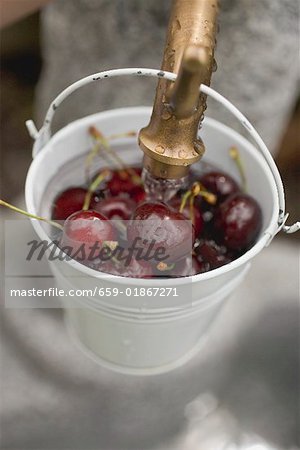 Washing cherries in bucket under tap