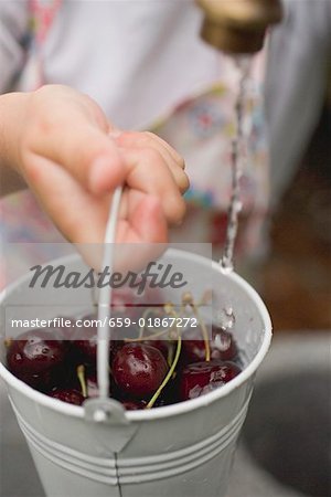 Washing cherries in a bucket under tap