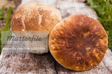 Two ceps on wooden board