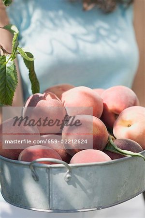 Woman holding fresh peaches in metal container