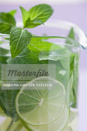 Mojito with lime and fresh mint