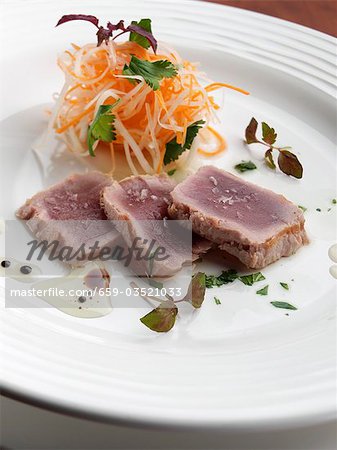 Grilled Sliced Tuna on a White Plate; Shredded Veggie Salad