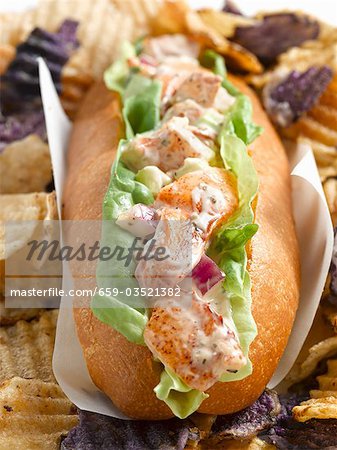 Lobster Roll with Potato Chips, Close Up