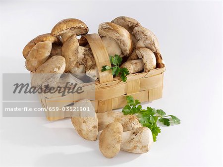 Ceps in a basket