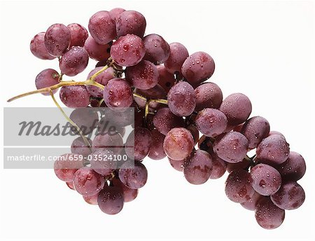 Red grapes with dew