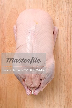 Stuffed, raw turkey (overhead view)