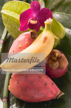 Exotic fruit still life with orchid