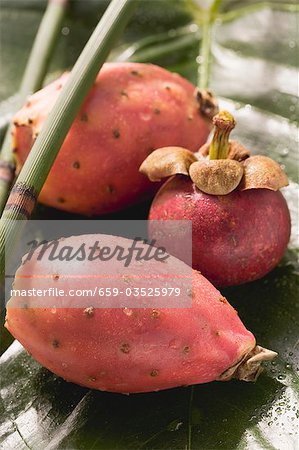 Mangosteen and prickly pears on leaf