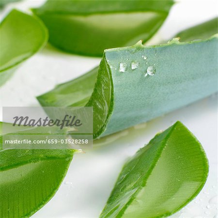 Aloe Vera Leaves Cut Into Pieces Close Up Stock Photo