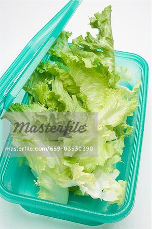 Lettuce in food storage box