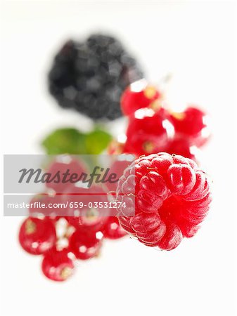 Raspberry, redcurrants and blackberry (close-up) Raspberry, redcurrants and blackberry (close-up)