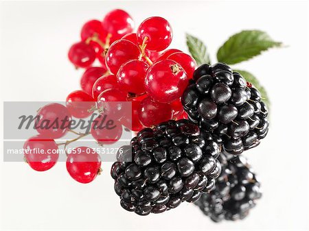 Redcurrants and blackberries