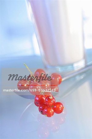 A glass of milk with redcurrants