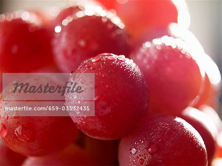 Red grapes with drops of water (close-up) Red grapes with drops of water (close-up)