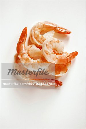 Shrimp on White Background