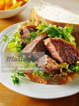 Beef steak with leaf salad on white bread
