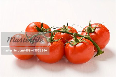 Tomatoes on the vine