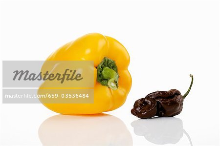 Yellow pepper and Scotch Bonnet chilli Yellow pepper and Scotch Bonnet chilli