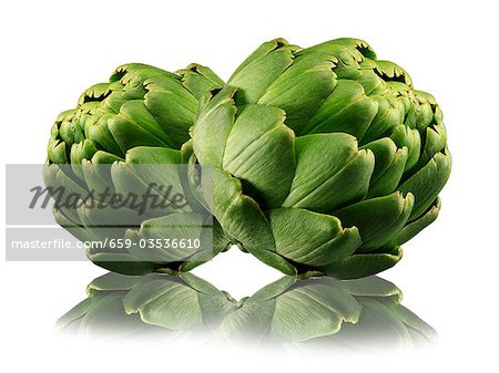 Two artichokes with reflection