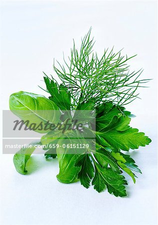 Bunch of fresh herbs