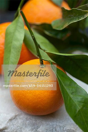 Mandarins with leaves (close-up)