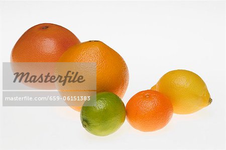 Various types of citrus fruit Various types of citrus fruit