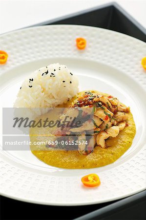 Chicken curry with steamed rice (Asia)