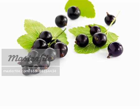 Blackcurrents with leaves