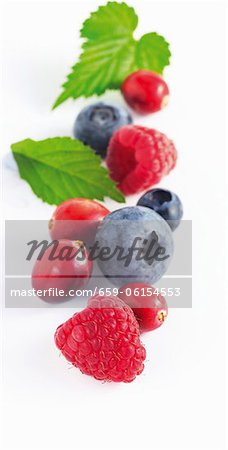 Raspberries, blueberries and cranberries with leaves