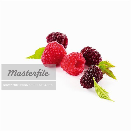 Raspberries and blackberries with leaves