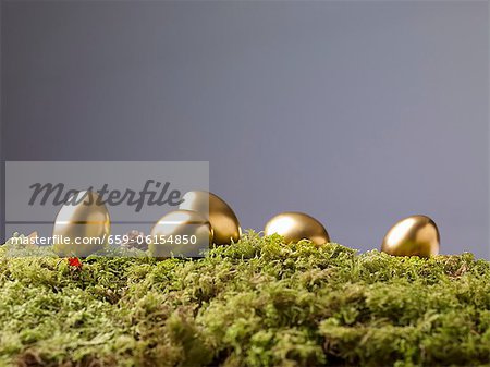 Golden Easter eggs on moss