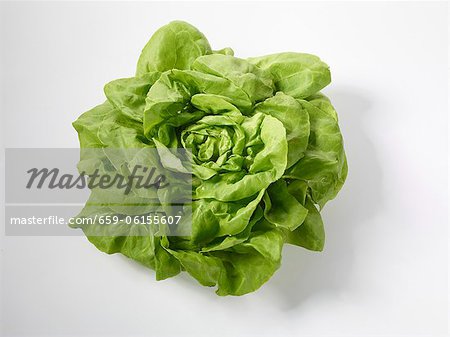 A lettuce