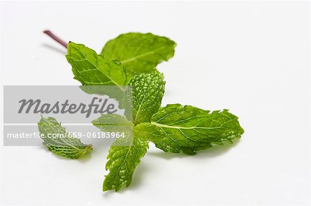Mint leaves Stock Photos, Royalty Free Mint leaves Images