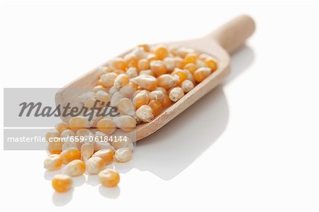 Corn seeds on a wooden scoop