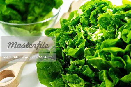 Green lettuce a salad servers