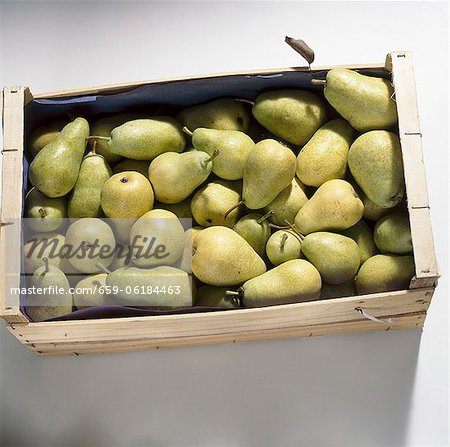 A crate of pears (variety 'Guyot')