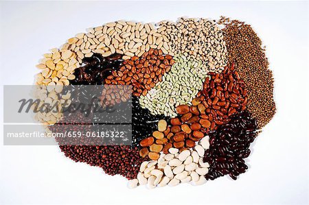Many different types of beans