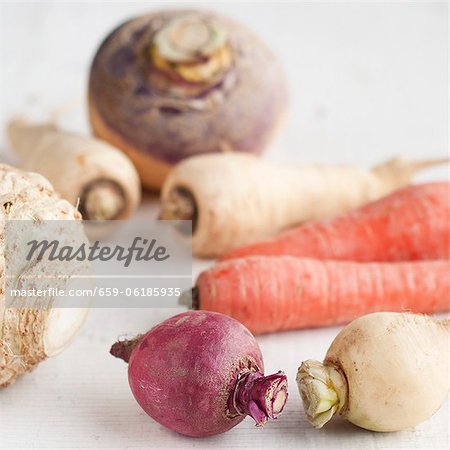 Root Vegetables; Turnip, Parsnips, Celeriac, Carrots and Rutabaga from the Portland Maine Farmers Market