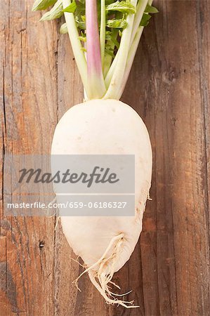 A white radish