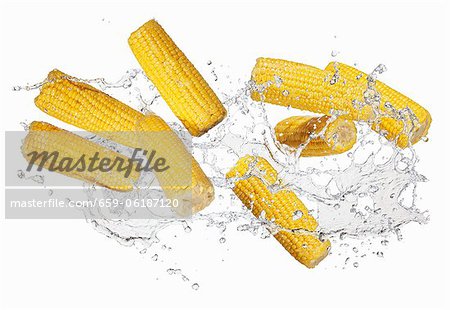 Corn on the cob with a water splash