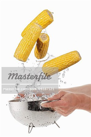 Washing corn on the cob in a colander